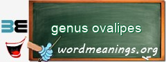 WordMeaning blackboard for genus ovalipes